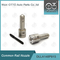 DLLA148P915 Dens Common Rail Nozzle dla wtryskiwaczy 095000-6070 6251-11-3100