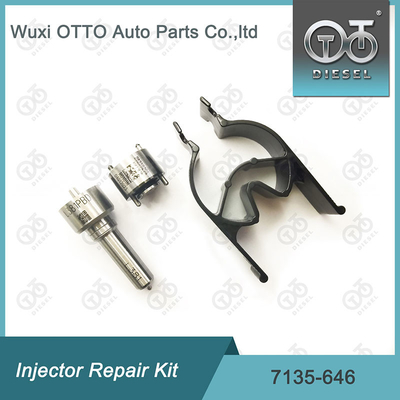 Zestaw 7135-646 Delphi Injector Repair Kit For Injectors 28232251 / R03101D / R05102D