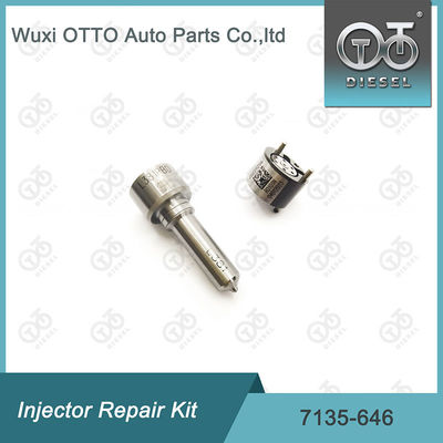 Zestaw 7135-646 Delphi Injector Repair Kit For Injectors 28232251 / R03101D / R05102D