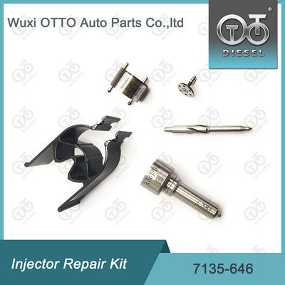 Zestaw 7135-646 Delphi Injector Repair Kit For Injectors 28232251 / R03101D / R05102D