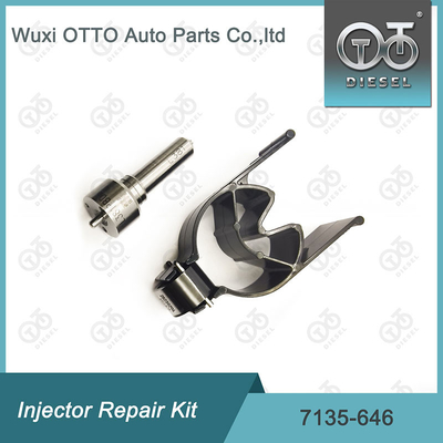 Zestaw 7135-646 Delphi Injector Repair Kit For Injectors 28232251 / R03101D / R05102D