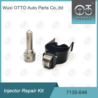 Zestaw 7135-646 Delphi Injector Repair Kit For Injectors 28232251 / R03101D / R05102D