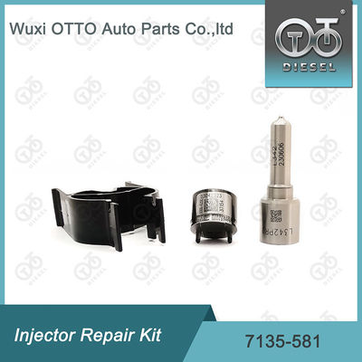 7135-581 Zestaw naprawy wtryskiwacza dla R00101D PSA FORD DW10C