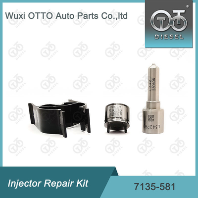 Zestaw naprawy wtryskiwacza Delphi Nozzle-CVA Kit 7135-581 dla R00101D PSA / FORD DW10C Nozzle-Valve Kit