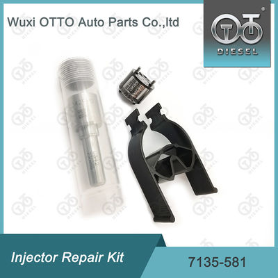 7135-581 Zestaw naprawy wtryskiwacza dla R00101D PSA FORD DW10C