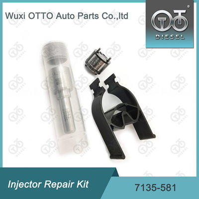 Zestaw naprawy wtryskiwacza Delphi Nozzle-CVA Kit 7135-581 dla R00101D PSA / FORD DW10C Nozzle-Valve Kit