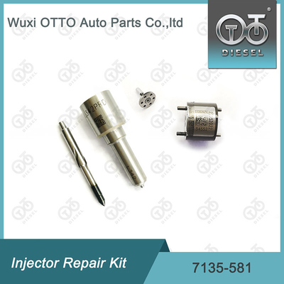 Zestaw naprawy wtryskiwacza Delphi Nozzle-CVA Kit 7135-581 dla R00101D PSA / FORD DW10C Nozzle-Valve Kit
