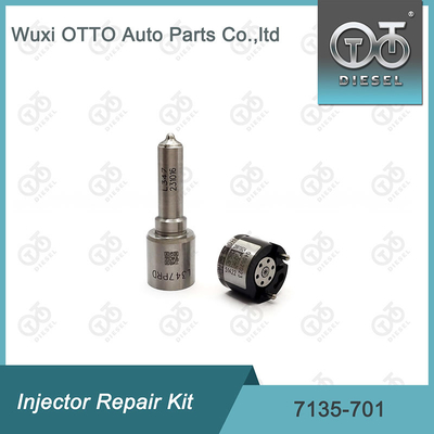 Zestaw 7135-701 Delphi Injector Repair Kit For Injectors R00001D