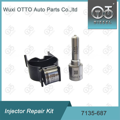 Zestaw 7135-687 Delphi Injector Repair Kit Nozzle-Valve