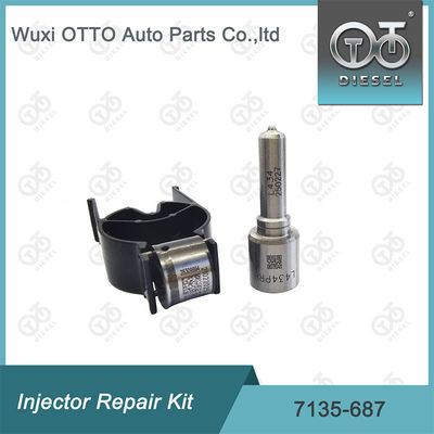 Zestaw 7135-687  Injector Repair Kit Nozzle-Valve