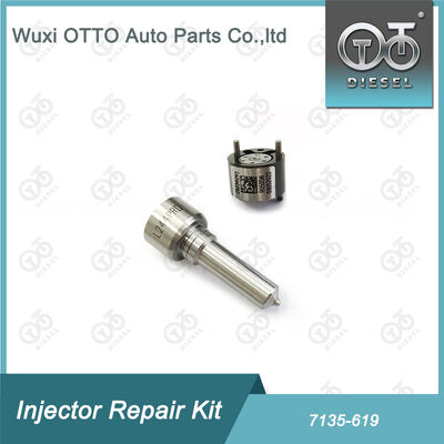 Zestaw 7135 - 619 Zestaw napraw wtryskiwacza Delphi dla wtryskiwaczy DELPHI SSANGYONG R04501D